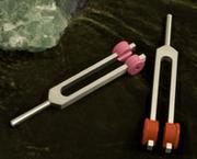 ADDITIONAL OPTION: MARS/VENUS TUNING FORKS