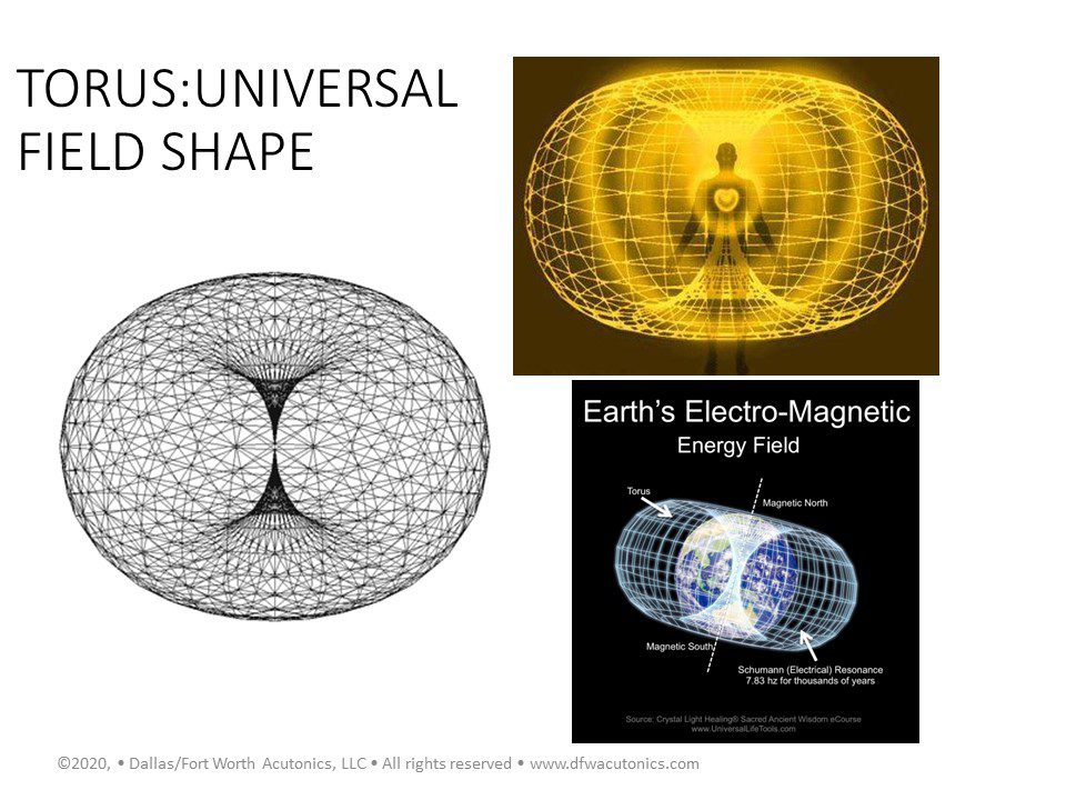 pic torus